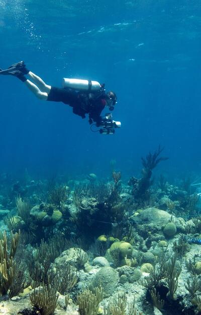 diver